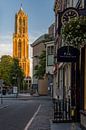 Jaune tour Dom d'Utrecht par Thomas van Galen Aperçu