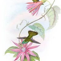 John Gould