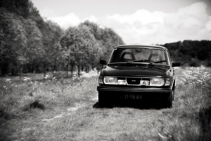 Saab 99, oud beestje tussen het fluitenkruid by Rutger Hoekstra