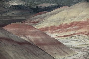 Beschilderde heuvels in het John Day Fossil Beds National Monument bij Mitchell City, Wheeler County van Frank Fichtmüller