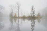 Mistige meander