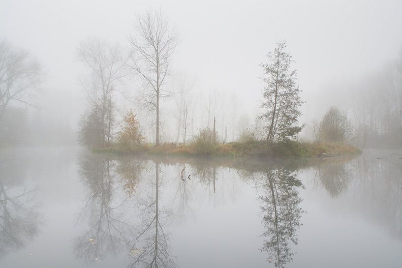 Mistige meander van Rick Willemsen