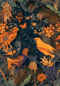 Parrots Midnight Paradise