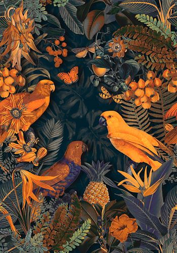 Parrots Midnight Paradise by Andrea Haase