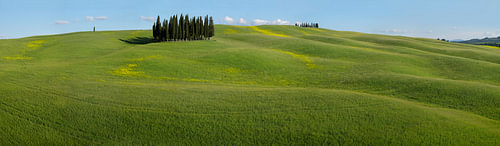 Le printemps en Toscane .