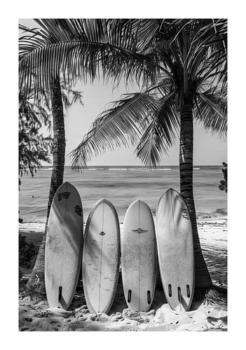 Surfplanken op een palmstrand in monochroom