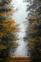 Ochtendwandeling