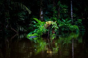 costa rica nature