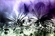 SPLASH! by Mieke van der Beek thumbnail