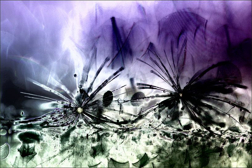 SPLASH! by Mieke van der Beek