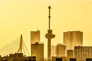 Rotterdam, Skyline mit Euromast und Erasmus-Brücke von Frans Lemmens