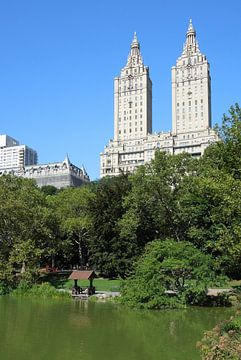 Central Park in New York van Achim Prill