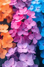 Mer de fleurs colorée dans une veste moderne sur Art & Soul Creations