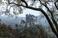 Castle Eltz in the mist