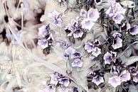 Blumen schwarz weiß lila von Patricia Piotrak Miniaturansicht