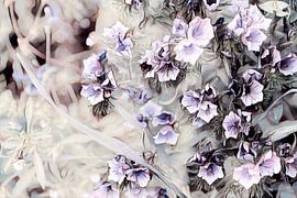 Flowers black white purple by Patricia Piotrak