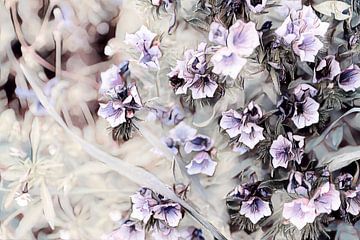 Bloemen zwart wit paars van Patricia Piotrak