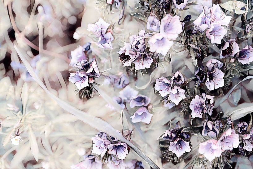 Blumen schwarz weiß lila von Patricia Piotrak
