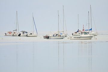 Sailboats by Mark Bolijn