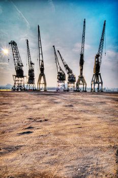 Port cranes in the port of Antwerp