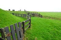 Groen is gras