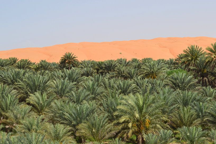 Düne im Oman von Sallys World