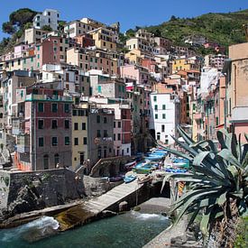 Corneglia, Cinque Terre by Peter van Eekelen