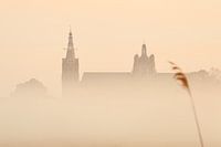 De Sint Jan van Den Bosch ontwaakt uit de mist