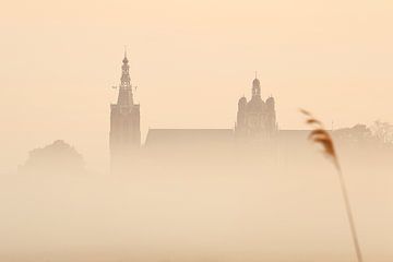 De Sint Jan van Den Bosch ontwaakt uit de mist van Den Bosch aan de Muur