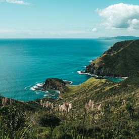 Groene kustlijn bij Cape Reinga en de Pacifische Oceaan, Nieuw-Zeeland van Rianne van Baarsen