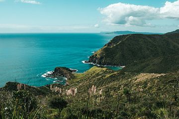 Groene kustlijn bij Cape Reinga en de Pacifische Oceaan, Nieuw-Zeeland van Rianne van Baarsen