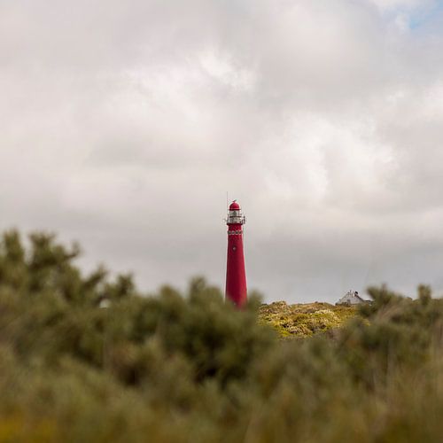 Schiermonnikoog - Vue sur le phare