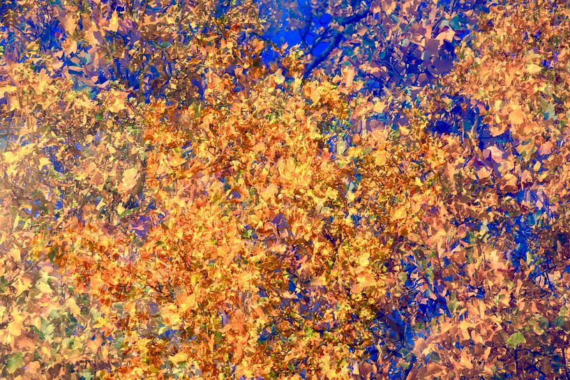 Golden October by Thomas Jäger