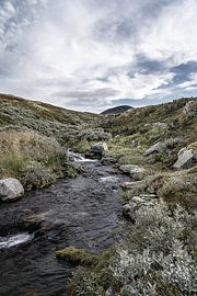 Norway | A rushing river near Mount Muen in Rondane National Park by Dylan Winter Visuals