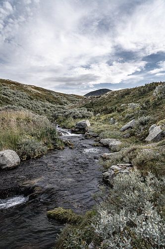 Une photographie de paysage pleine de charme représentant la rivière tumultueuse près du mont Muen, en Norvège