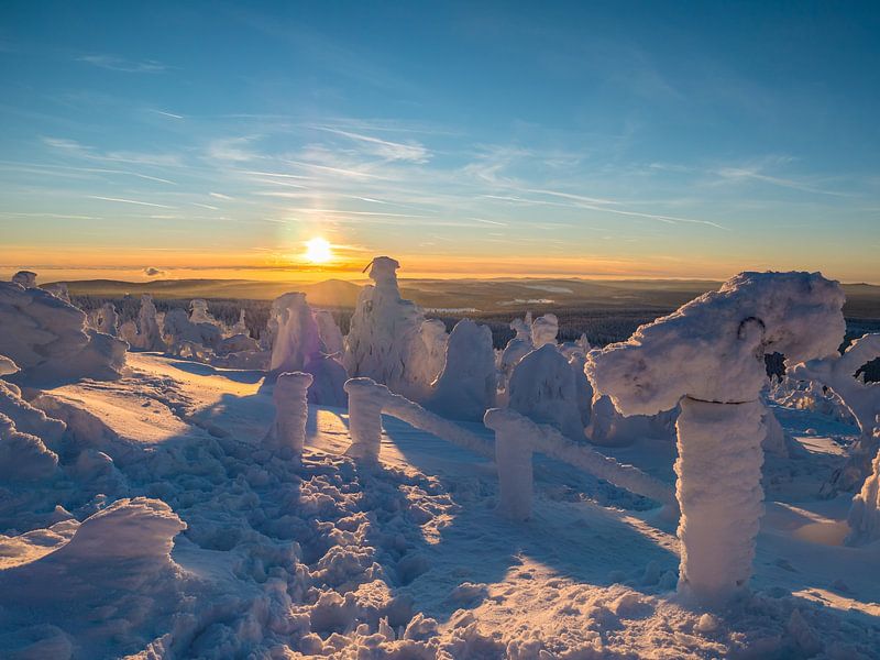 Zonsondergang op de Fichtelberg in het Ertsgebergte van Animaflora PicsStock