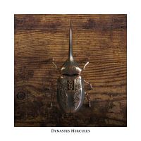 Steampunk Dynastes Hercules
