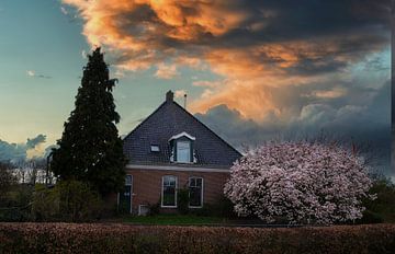 Frisian Farms and Buildings. by Brian Morgan
