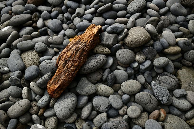 Flotsam and jetsam by Oliver Lahrem