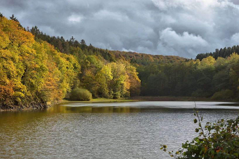 Lake in autumn by Dieter Beselt