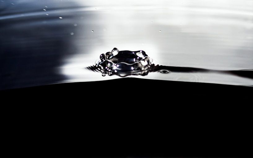 Impact van Stijn Cleynhens