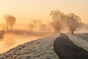 Zonsopkomst aan de Dender te Idegem van Sven Scraeyen