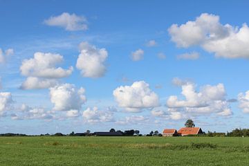 Landschap bij Kollum, Friesland, Nederland van Imladris Images