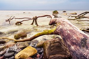 Die Ostseeküste auf der Insel Rügen