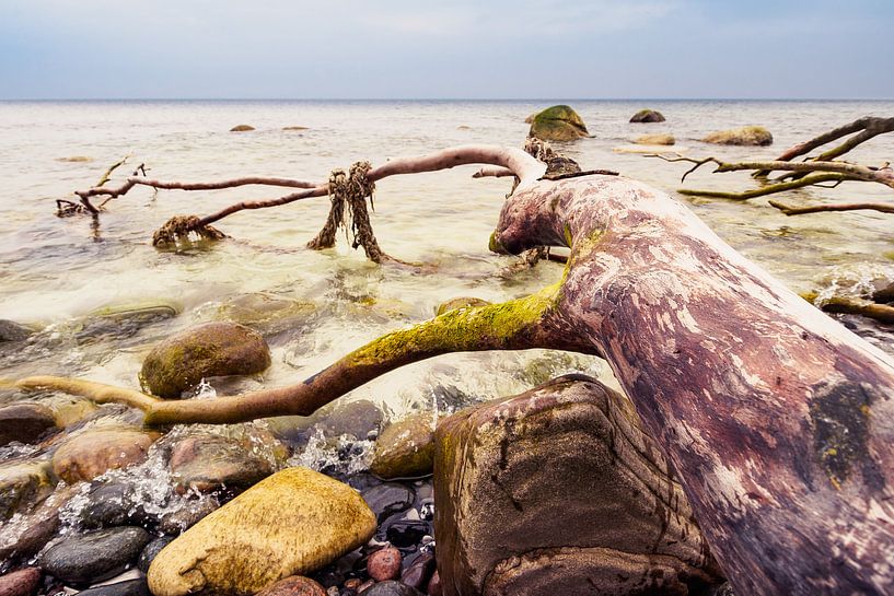 Baltic Sea coast on the island Ruegen van Rico Ködder