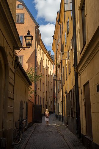 Stockholm gamla stan. von Remco van Adrichem