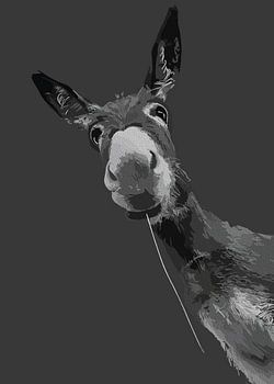 Funny Donkey Grayscale Portrait Art