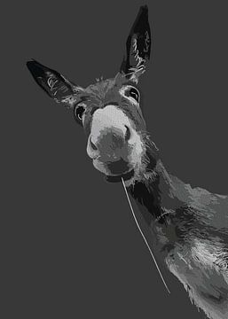 Grayscale ezel portretkunst van Ramy Salah Hefny