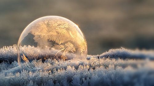 Frozen art #8 by Lex Schulte