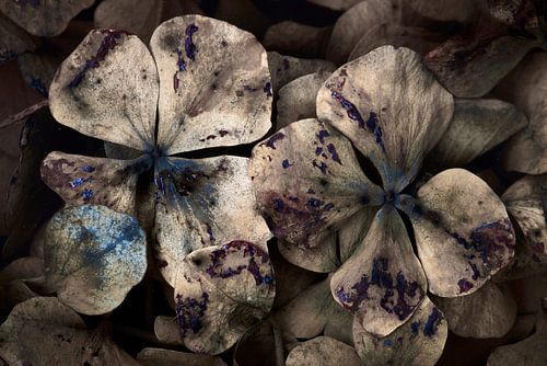 Die kleine Welt des Herbstes